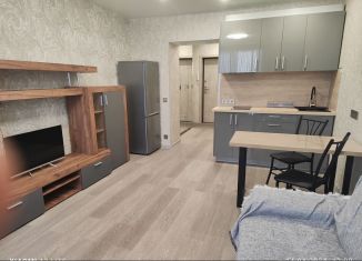 Сдаю 1-ком. квартиру, 26 м2, Саратовская область, улица Пушкина, 87