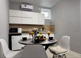 Сдаю в аренду квартиру студию, 32 м2, село Витязево, улица Гагарина, 15/3