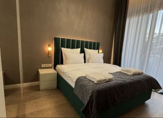 Сдам в аренду двухкомнатную квартиру, 61.7 м2, Сочи, Виноградная улица, 14к2