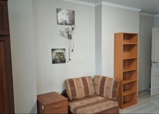 Сдам в аренду квартиру студию, 24.9 м2, Мурино, Охтинская аллея, 10к1