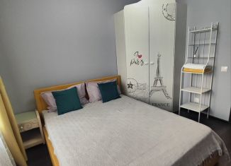 Однокомнатная квартира в аренду, 33.2 м2, Санкт-Петербург, проспект Будённого, 19к1, Красносельский район