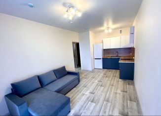 Сдам 2-ком. квартиру, 38.3 м2, Пермь, Серебристая улица, 18