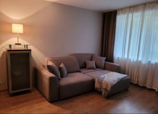 Аренда 3-комнатной квартиры, 62 м2, Санкт-Петербург, улица Есенина, 18к1, метро Проспект Просвещения