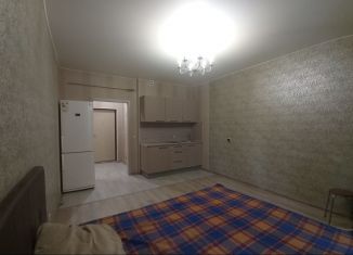 Аренда квартиры студии, 24.7 м2, Мурино, проспект Авиаторов Балтики, 1к1