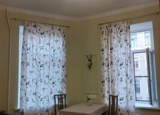 Сдача в аренду квартиры студии, 24 м2, Санкт-Петербург, Коломенская улица, 33/40, метро Достоевская