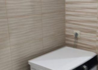 Сдача в аренду однокомнатной квартиры, 34 м2, Ростов-на-Дону, проспект Ленина, 15