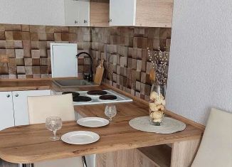 Сдается квартира студия, 27 м2, Ростов-на-Дону, Художественная улица, 9, Первомайский район