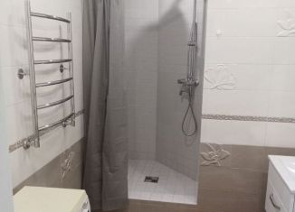 Однокомнатная квартира в аренду, 40 м2, Чебоксары, улица Петра Ермолаева, 3