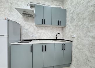 Аренда квартиры студии, 28 м2, Краснодар, Адмиралтейский бульвар, 3к3