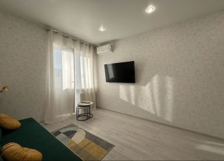 Сдаю двухкомнатную квартиру, 45 м2, Ростов-на-Дону, улица Мечникова, 41/53, Ленинский район