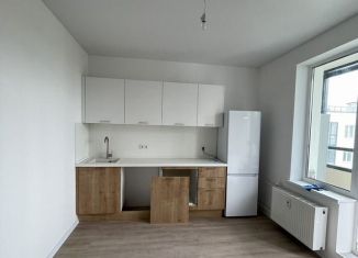 1-комнатная квартира в аренду, 35 м2, Колпино, проспект Ленина, 60