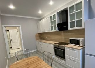 Сдаю в аренду 1-ком. квартиру, 41 м2, Ростов-на-Дону, улица Мечникова, 39Б, Ленинский район