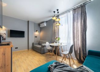 Сдается квартира студия, 25 м2, Сириус, Весёлая улица, 26