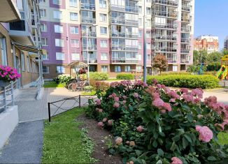 Аренда квартиры студии, 25.3 м2, Мурино, Привокзальная площадь, 3к3