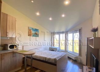 Аренда квартиры студии, 24 м2, Петергоф, Петергофская улица, 8