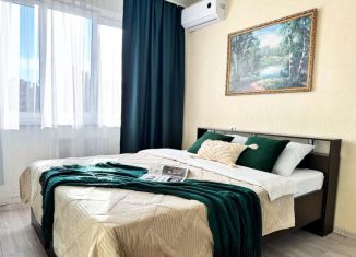 Сдам 1-комнатную квартиру, 35 м2, Краснодар, улица им. Героя Сарабеева В.И., 5к1