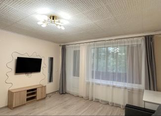 2-ком. квартира в аренду, 47 м2, Колпино, Пролетарская улица, 119