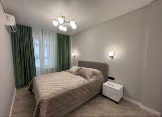 Сдам в аренду 2-комнатную квартиру, 42 м2, Ростов-на-Дону, Красноармейская улица, 157В/83с1