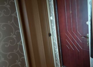 Сдается 1-ком. квартира, 40 м2, Мытищи, улица Борисовка