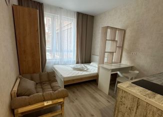 Квартира в аренду студия, 20 м2, Москва, Тагильская улица, 2к1, Бульвар Рокоссовского