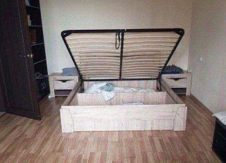 Сдается в аренду 1-комнатная квартира, 40 м2, Москва, Электролитный проезд