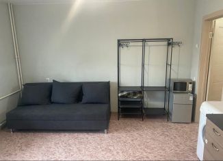 Аренда квартиры студии, 24.3 м2, Республика Башкортостан, улица Булата Имашева, 9