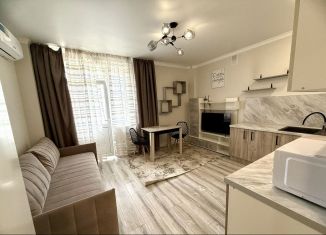 Сдам в аренду квартиру студию, 30 м2, Ростов-на-Дону, улица 26-я Линия, 35/2, Пролетарский район