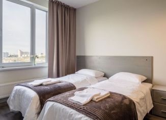 Сдам в аренду квартиру студию, 25 м2, Санкт-Петербург, Витебский проспект, 99к1, Московский район