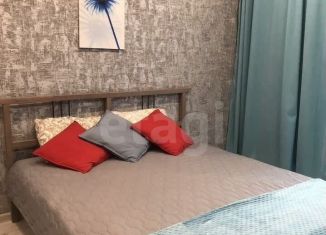 Сдаю в аренду квартиру студию, 25 м2, Новосибирск, Обская улица, 46/2, метро Речной вокзал