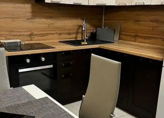 Сдается в аренду 2-ком. квартира, 42 м2, Котельники, микрорайон Парковый, 1к4