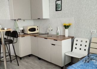 Сдаю в аренду квартиру студию, 24 м2, Верхняя Пышма, улица Петрова, 34Б