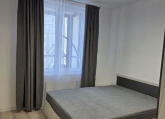 Сдаю в аренду 1-ком. квартиру, 38 м2, Санкт-Петербург, набережная реки Каменки, 11к1, метро Проспект Просвещения