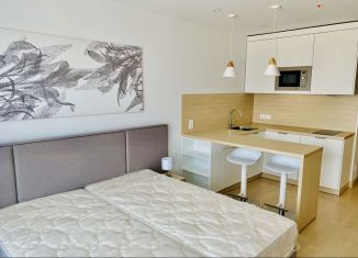 Квартира в аренду студия, 28 м2, Москва, 1-я улица Леонова, 18, метро Ботанический сад