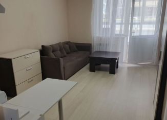 Сдача в аренду квартиры студии, 27 м2, Ростов-на-Дону, 2-я Заводская улица, 20, Железнодорожный район