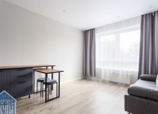 Сдам квартиру студию, 27 м2, Новосибирск, улица Гаранина, 43, Октябрьский район