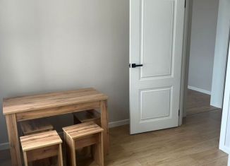 Сдаю в аренду 1-ком. квартиру, 40.9 м2, Санкт-Петербург, проспект Луначарского, 98к1, метро Гражданский проспект