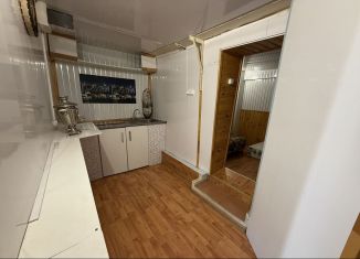 Продам дом, 24.7 м2, Саратовская область, улица имени А.Н. Радищева, 119