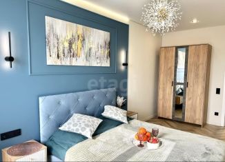 Однокомнатная квартира в аренду, 42 м2, Ростов-на-Дону, Береговая улица, 73с2