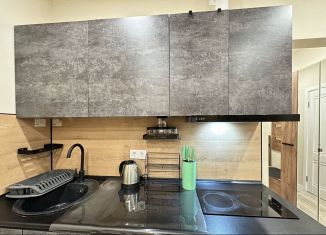 Сдается в аренду квартира студия, 28 м2, Сочи, улица Искры, 88к3