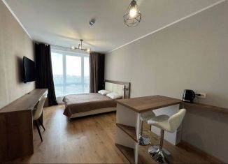 Сдается квартира студия, 23 м2, посёлок Парголово, Толубеевский проезд, 8к2