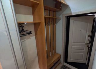 Сдам в аренду квартиру студию, 23 м2, Горно-Алтайск, Технологический переулок, 14/1