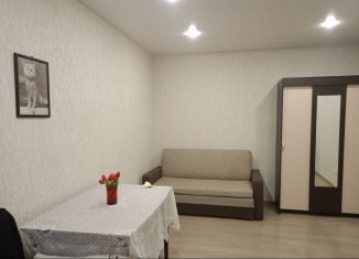 Аренда однокомнатной квартиры, 38 м2, Санкт-Петербург, улица Хошимина, 13к1Б, метро Проспект Просвещения