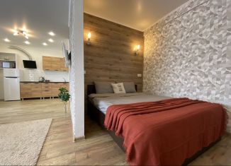 Аренда квартиры студии, 36 м2, Оренбургская область, улица 1 Мая