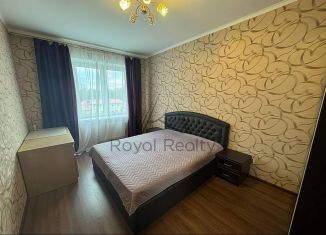 Двухкомнатная квартира в аренду, 56 м2, Санкт-Петербург, муниципальный округ Дачное, Дачный проспект, 21к1