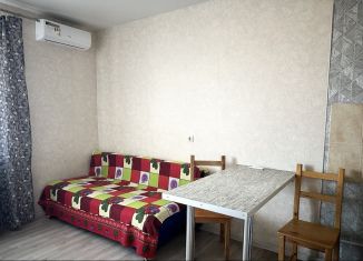 Сдаю квартиру студию, 24 м2, Краснодар, Измаильская улица, 74к1, Прикубанский округ