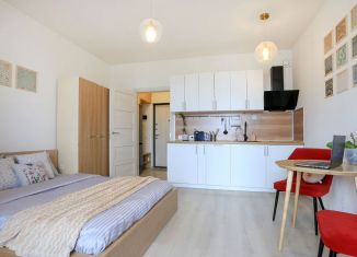 Сдам в аренду квартиру студию, 28 м2, Санкт-Петербург, Кузнецовская улица, 58к1, Московский район