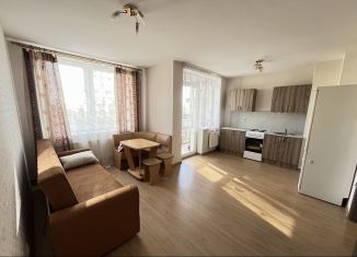 1-ком. квартира в аренду, 39 м2, Екатеринбург, Железнодорожный район, Техническая улица, 149А