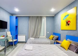 Аренда квартиры студии, 25 м2, Санкт-Петербург, 4-я Советская улица, 8, муниципальный округ Смольнинское