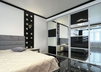 Сдается в аренду 1-комнатная квартира, 55 м2, Краснодар, улица Кубанская Набережная, 31/1, микрорайон Центральный