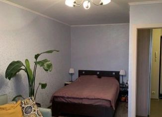 Сдается 1-комнатная квартира, 36 м2, Москва, шоссе Энтузиастов, 60к1